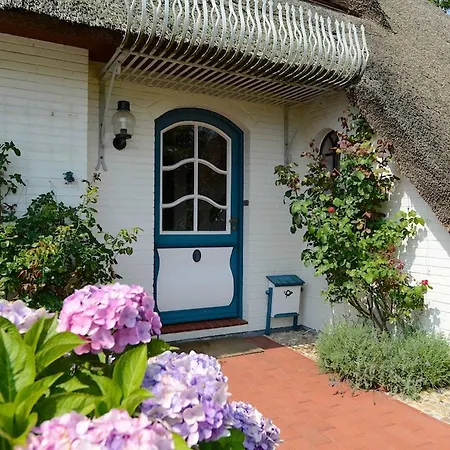 Appartement Dieksweg 3 Pure Natur Auf Idyll